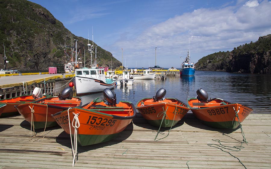 Orange Dinghies